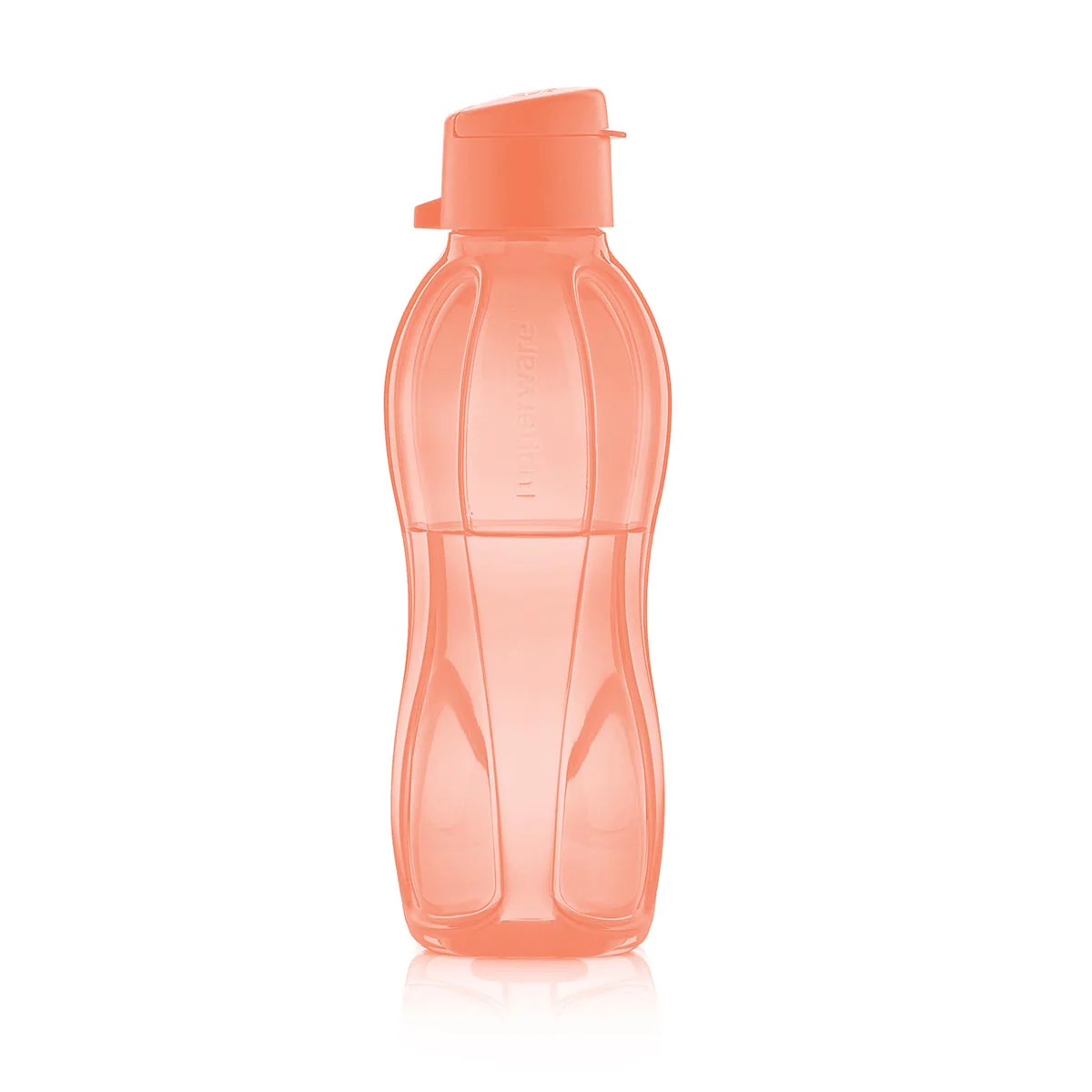 Eco+ Bottle | Small | 16 oz. / 500 mL - Image 7