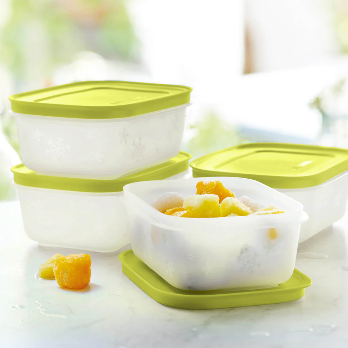 Tupperware® Freezer Mates® PLUS Small Shallow | 4-Piece Container Set - Image 2
