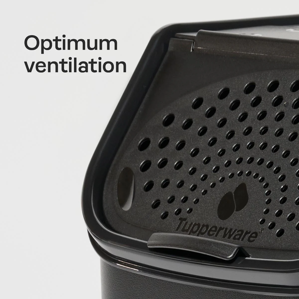 Potato Smart® Container - Image 4